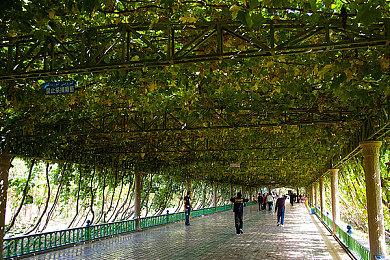 《任天堂大乱斗》推出《怪物猎人物语2》联动命魂